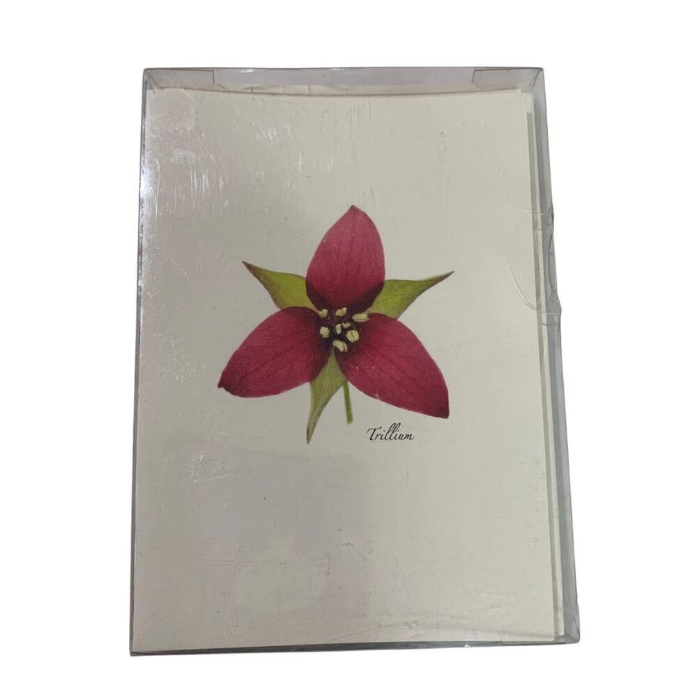 Set of 8 Notecards and Envelopes Wildflower Assortment II New